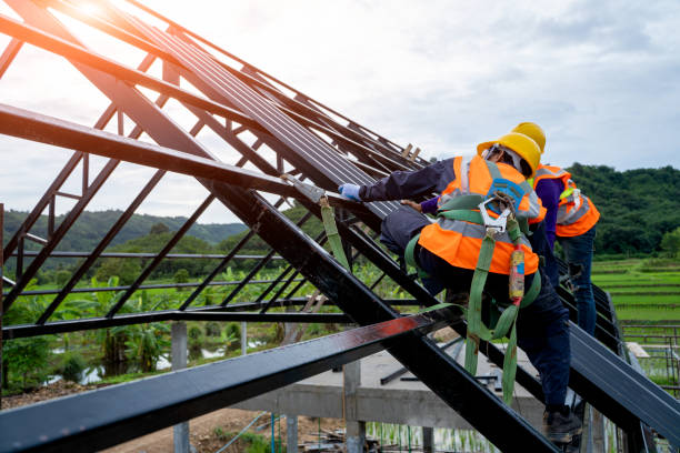 Best Residential Roof Replacement  in Shawneetown, IL