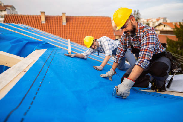 Best Metal Roofing Contractor  in Shawneetown, IL
